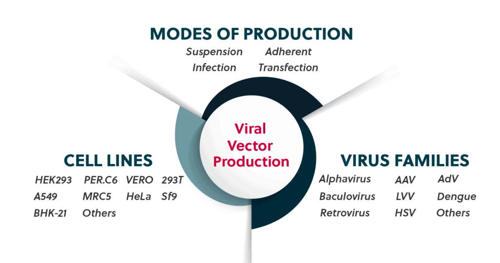 Viral vector production and manufacturing experience