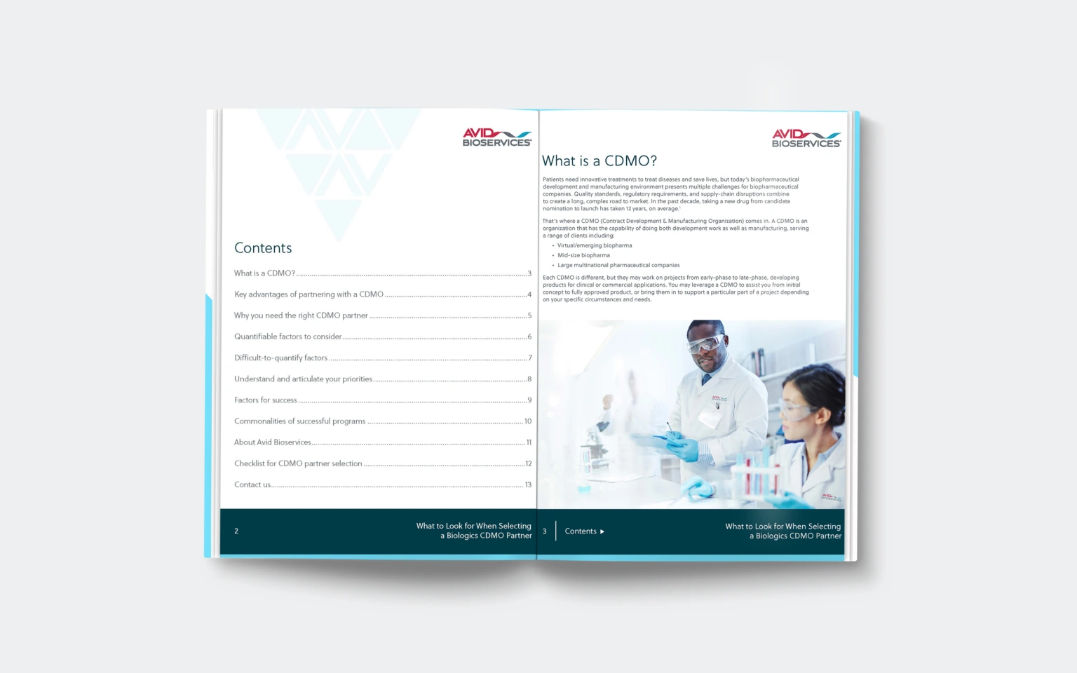 What To Look For When Selecting