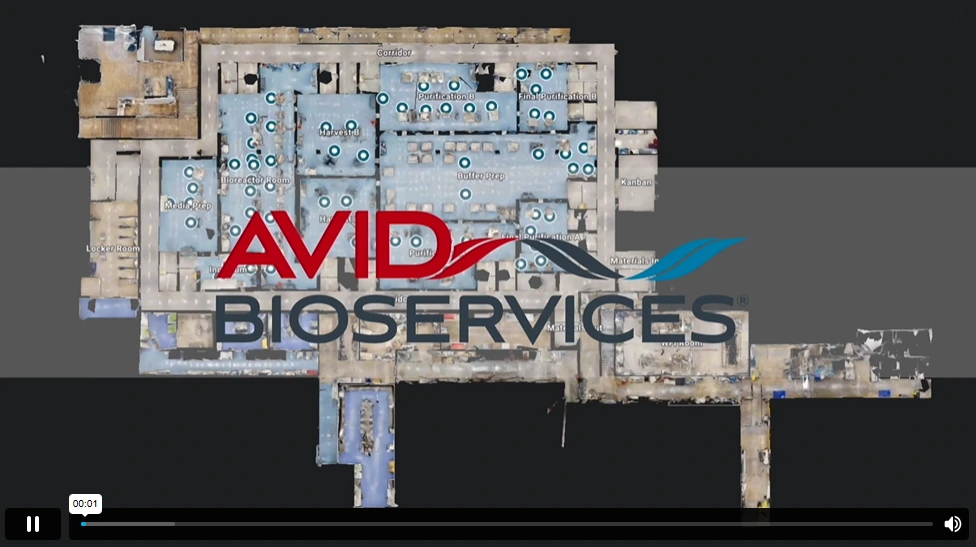 avid updated thumbnail for vid