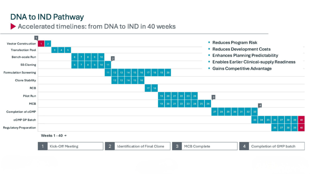 DNA to IND Pathway TImeline