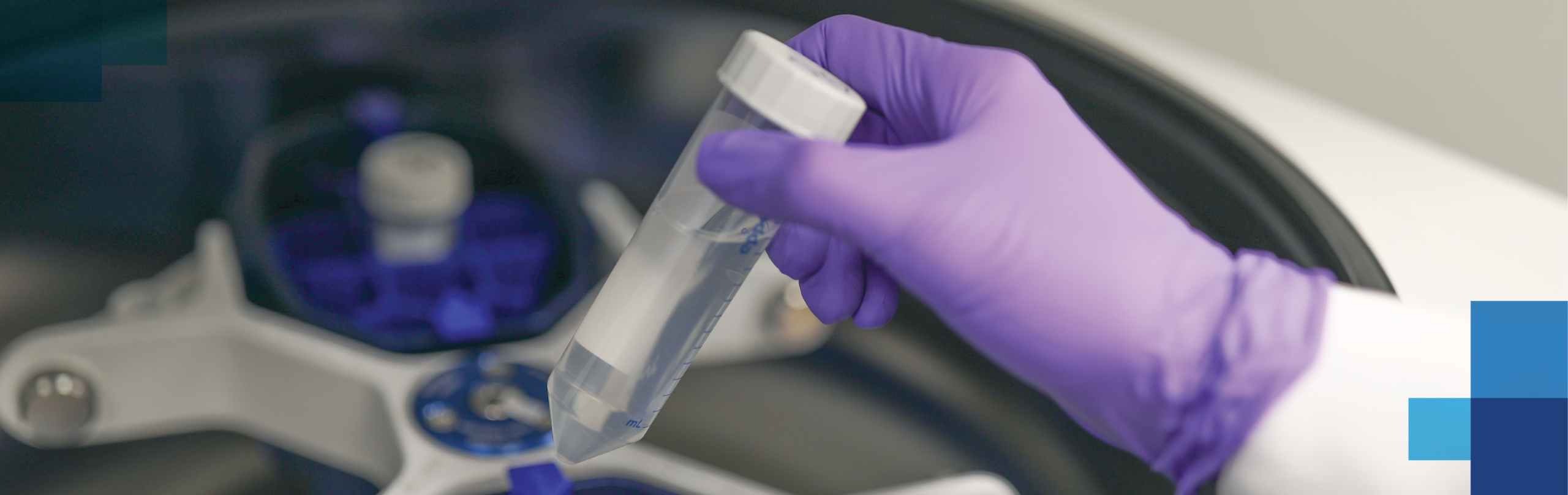 Inside the Science Cell Line Development