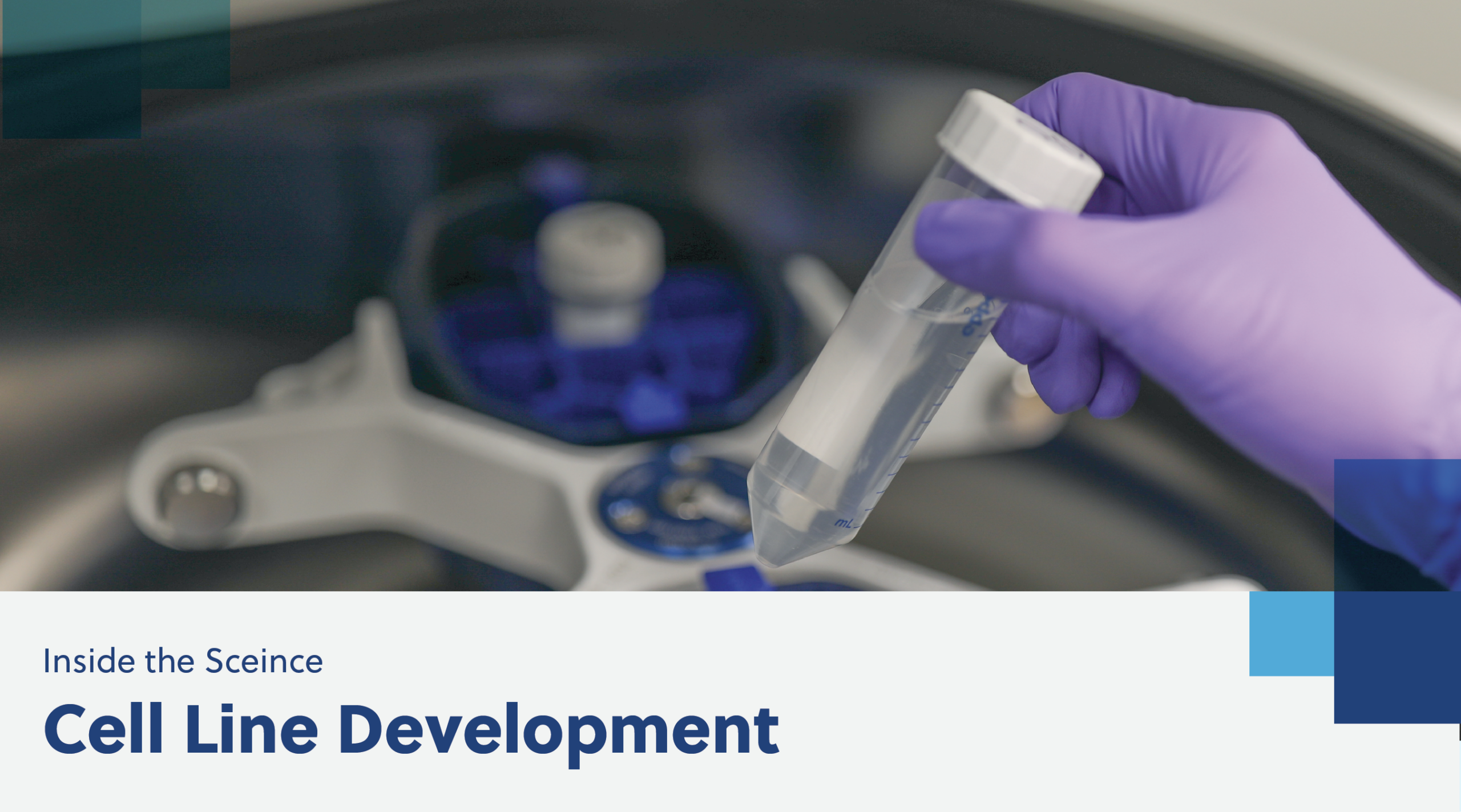 Inside the Science Cell Line Development