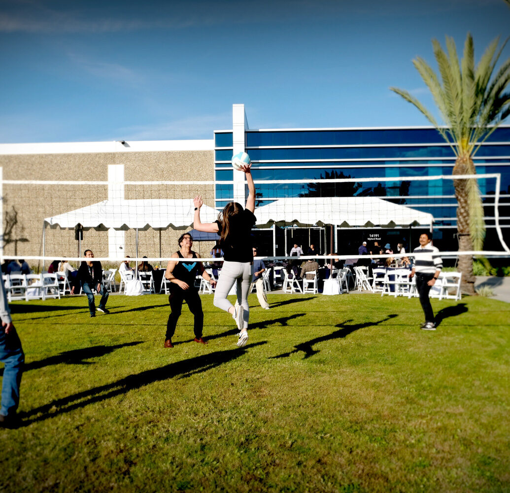 Employees playing volleyball outdoors at a company event