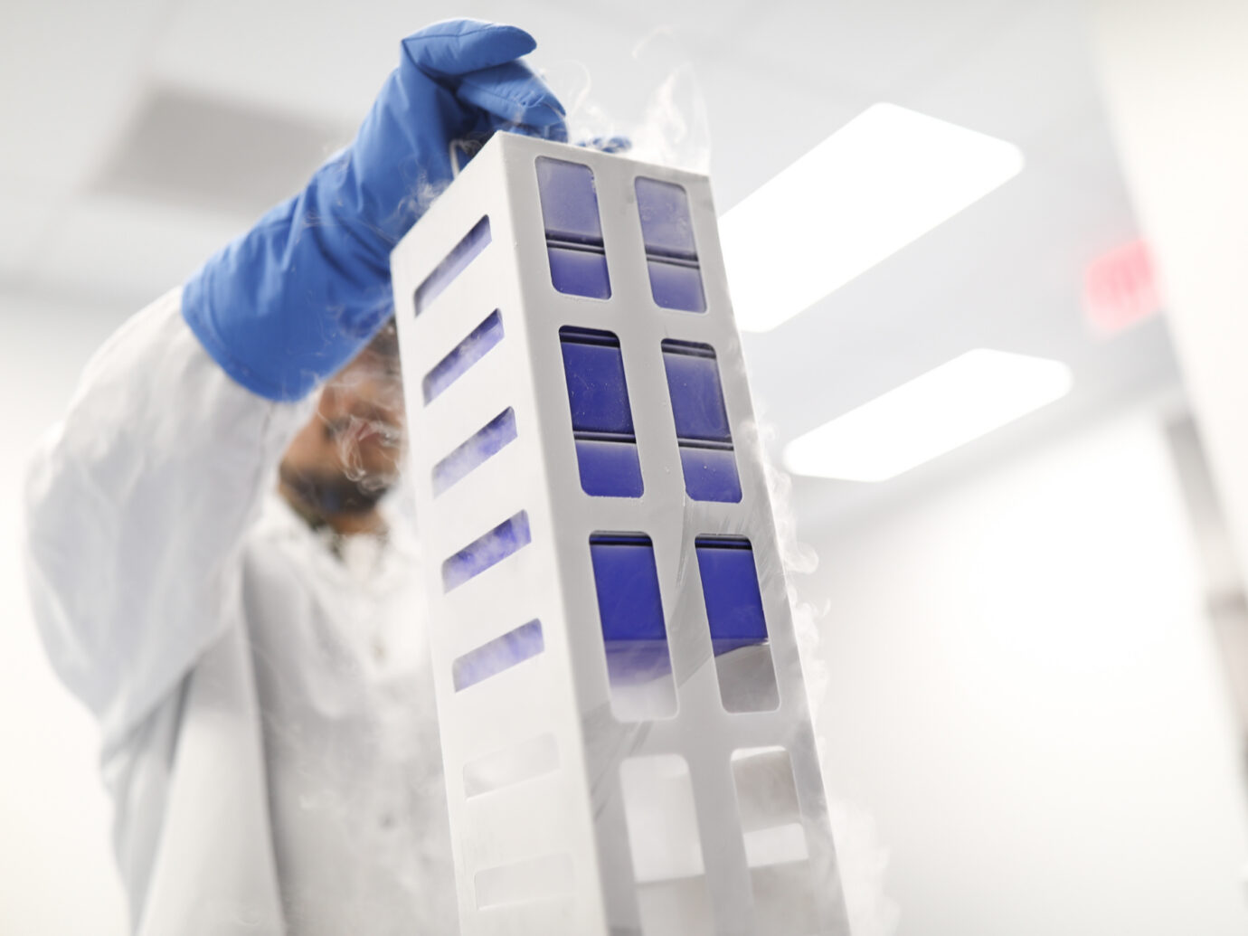Gloved hand handling a multi-well cell culture plate in a cleanroom
