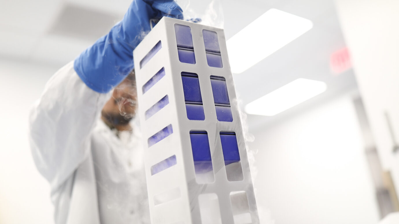 Gloved hand handling a multi-well cell culture plate in a cleanroom