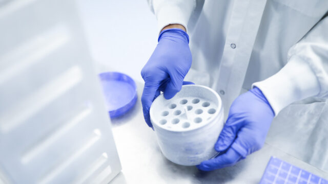 Gloved hands holding a multi-well sample tray in a lab