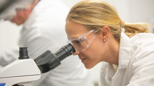 Female scientist wearing safety glasses looking through a microscope in a lab