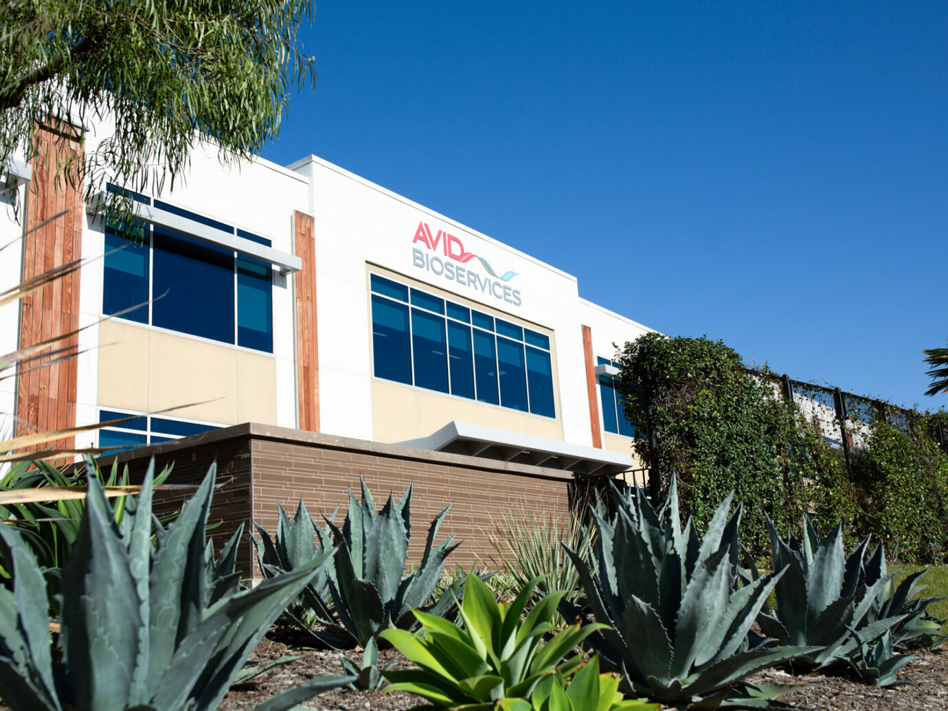 Exterior of an Avid Bioservices manufacturing building with a palm tree