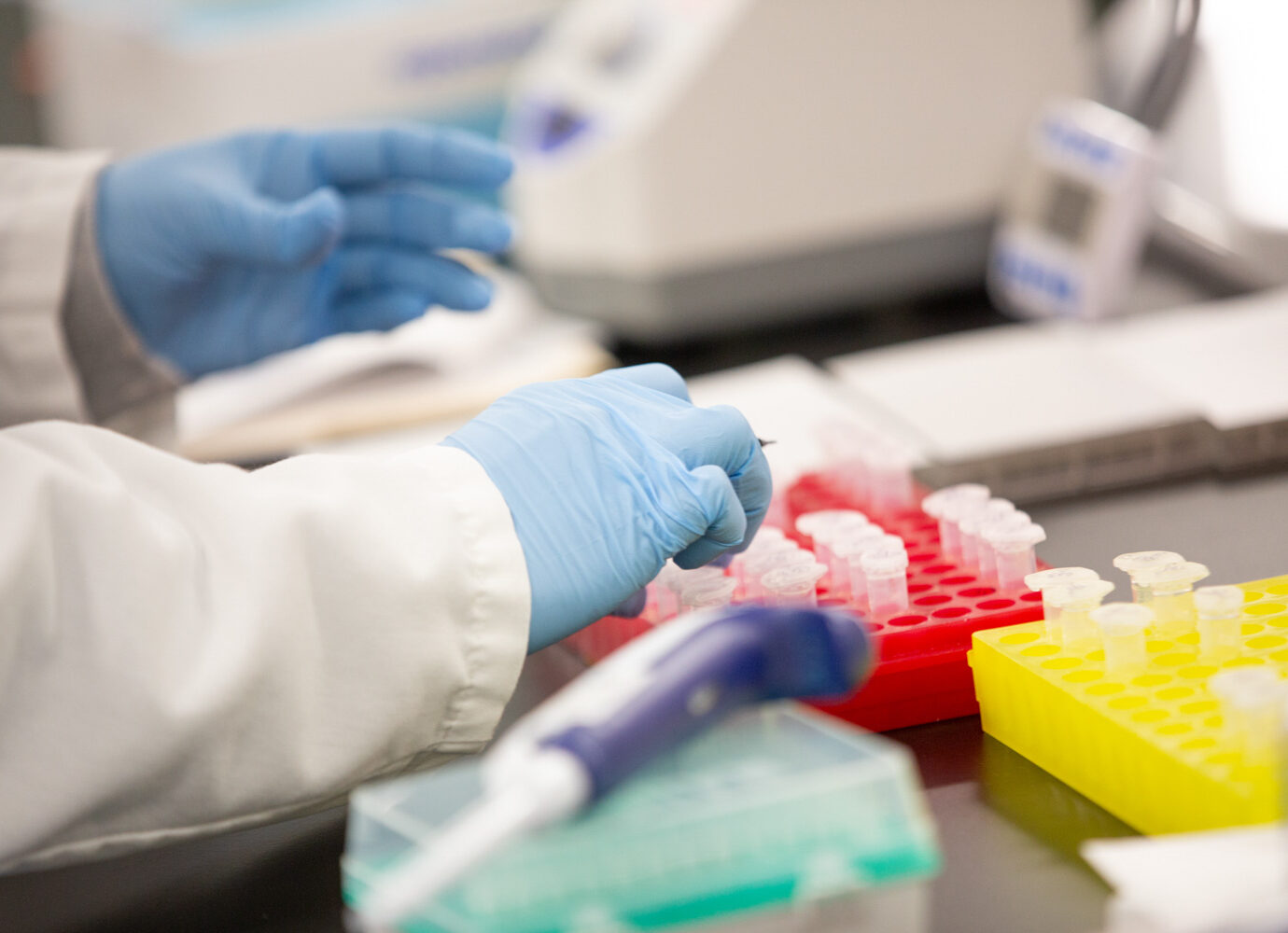 Gloved hands handling sample tubes in a laboratory rack