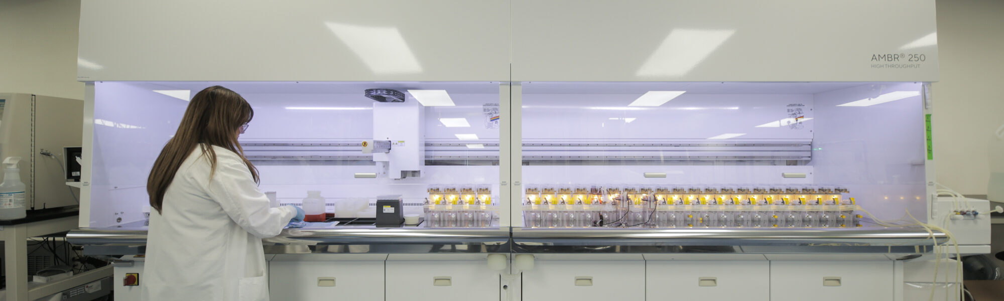 Scientist working at a Sartorius Ambr bioreactor system in a lab
