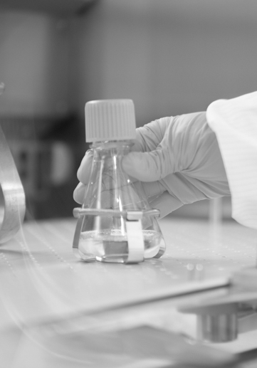 Gloved hand holding a glass flask in a laboratory, black and white photo