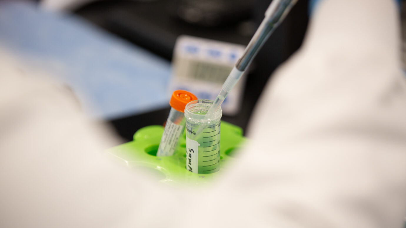 Close-up of a pipette dispensing liquid into a laboratory sample vial